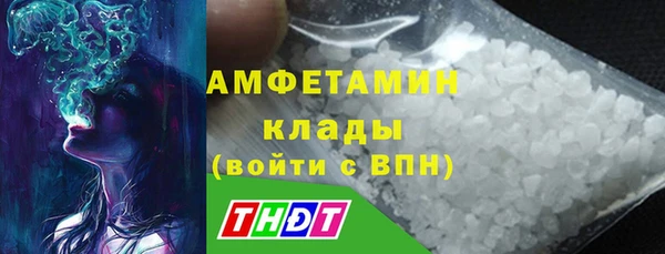 ГАЛЛЮЦИНОГЕННЫЕ ГРИБЫ Алзамай