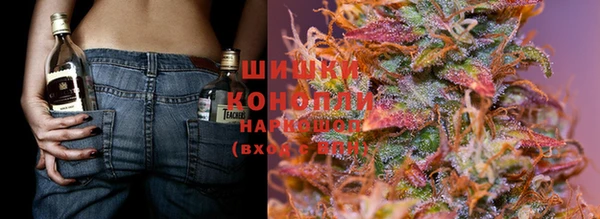 стафф Дмитров
