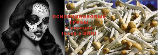 бошки Дмитриев