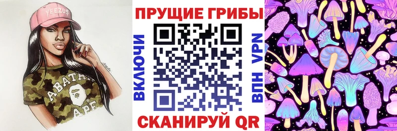 Псилоцибиновые грибы GOLDEN TEACHER  Абдулино 